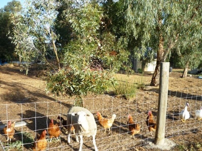 37 Tranby Avenue, Serpentine WA 6125