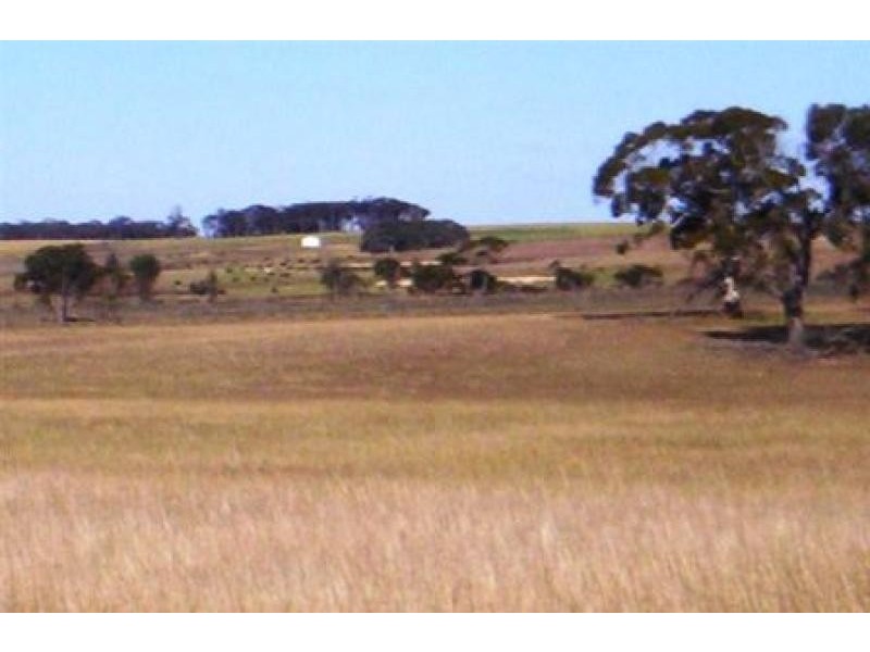 Yealering WA 6372