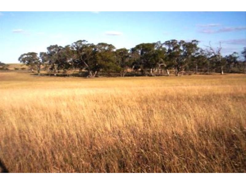 Yealering WA 6372