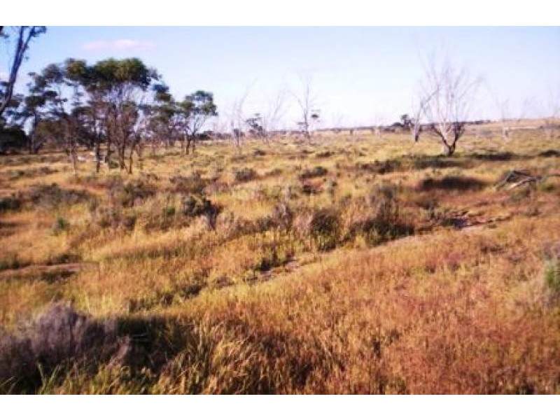 Yealering WA 6372