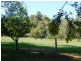 20 Allum Way, Serpentine WA 6125