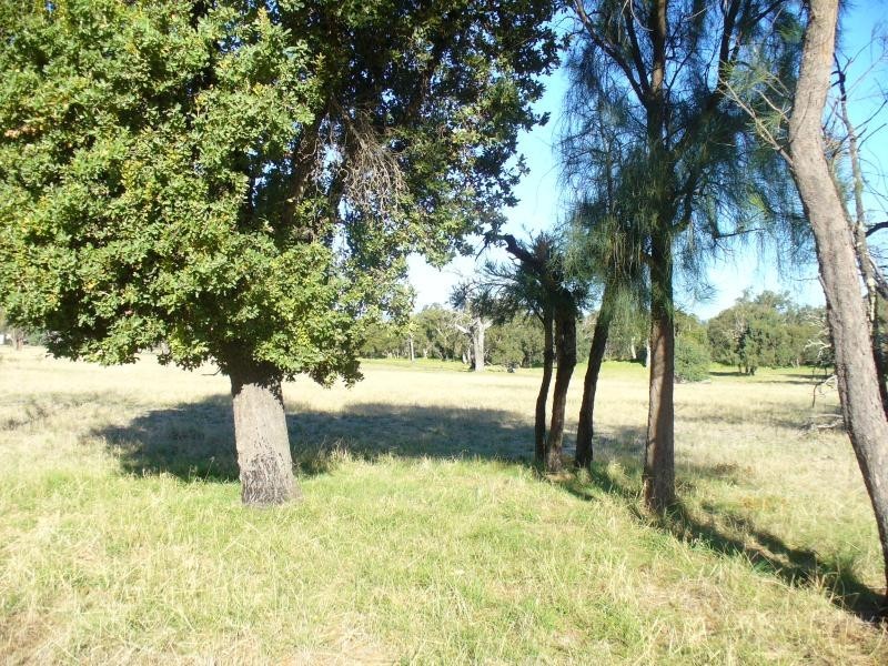 553 GOSSAGE ROAD, Oldbury WA 6121