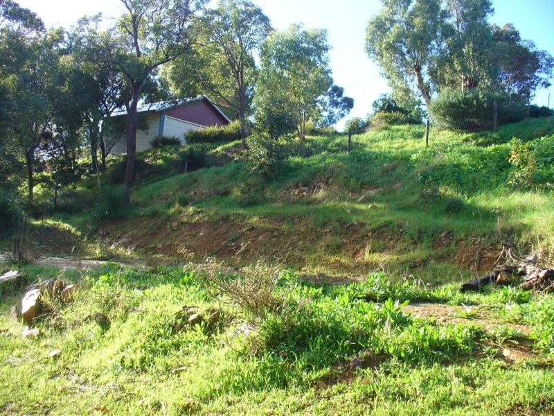 11 SAPPHIRE COURT, Mount Richon WA 6112