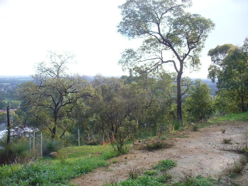 11 SAPPHIRE COURT, Mount Richon WA 6112