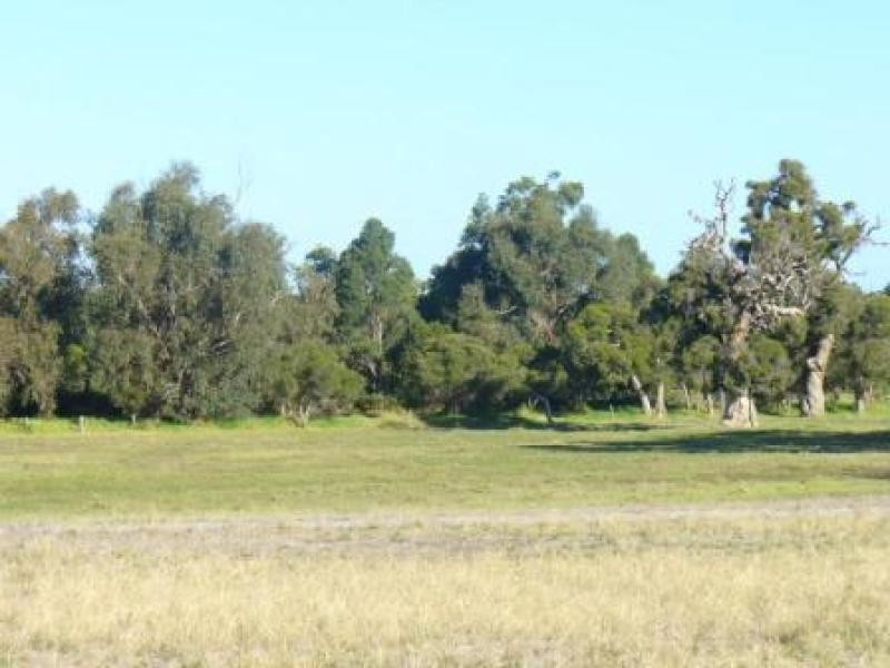 553 Gossage Road, Oakford WA 6121