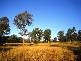 Birnam QLD 4352