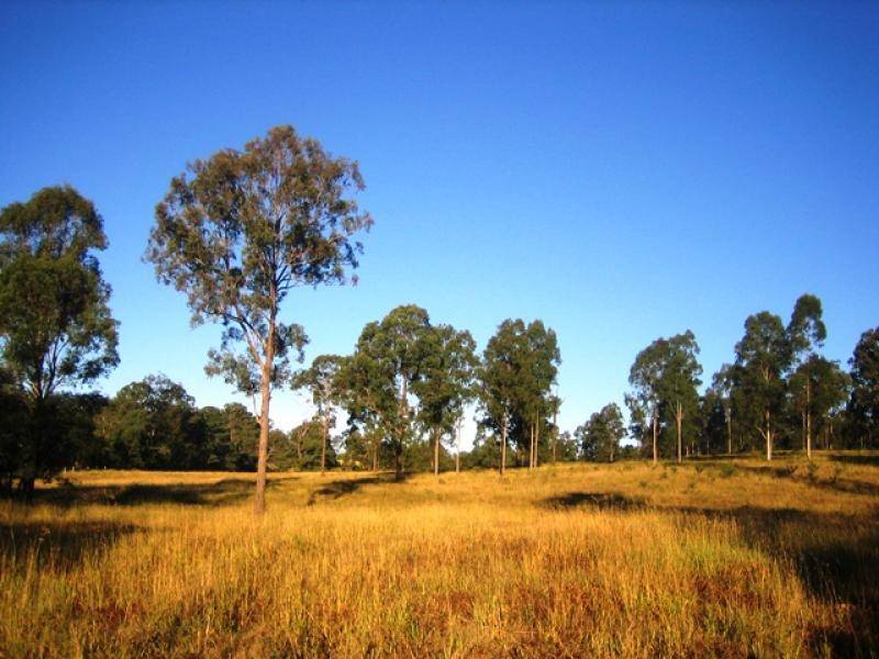 Birnam QLD 4352