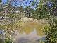 Birnam QLD 4352