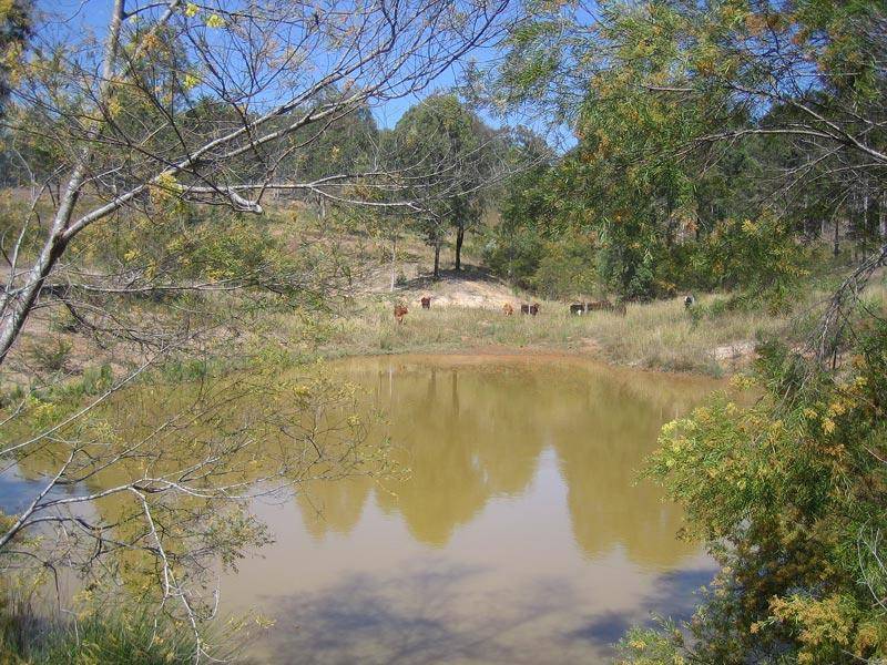 Birnam QLD 4352