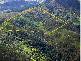 Sarabah QLD 4275
