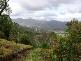 Sarabah QLD 4275
