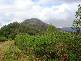 Sarabah QLD 4275