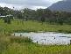 796 MUNDOOLUN CONNECTION ROAD, Tamborine QLD 4270