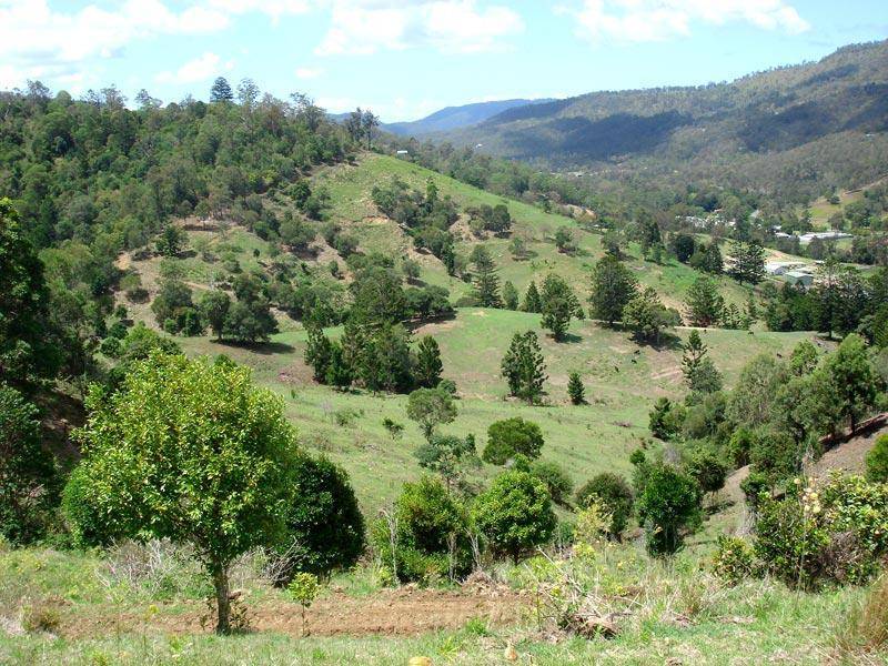 460 LAMINGTON NATIONAL PARK ROAD, Canungra QLD 4275