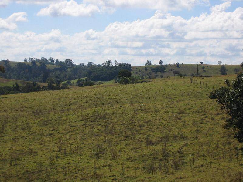 1867 BEECHMONT ROAD, Beechmont QLD 4211