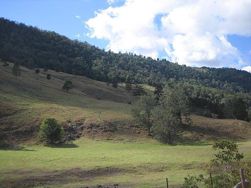 718 ILLINBAH ROAD, Illinbah QLD 4275