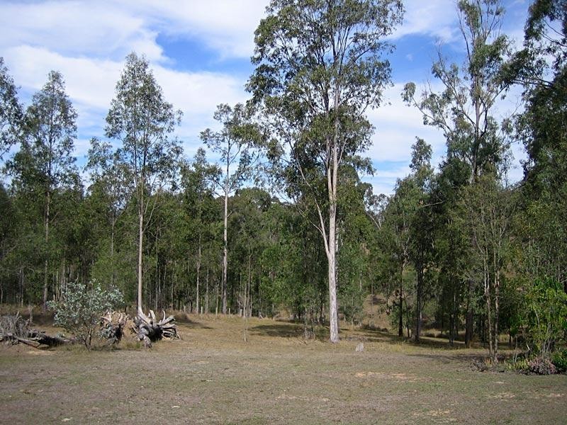 104 BEATTIE ROAD, Mundoolun QLD 4285