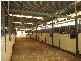 188 ARMSTRONG ROAD, Biddaddaba QLD 4275