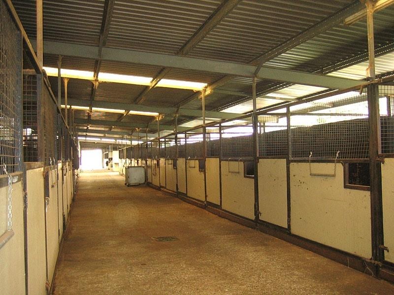 188 ARMSTRONG ROAD, Biddaddaba QLD 4275