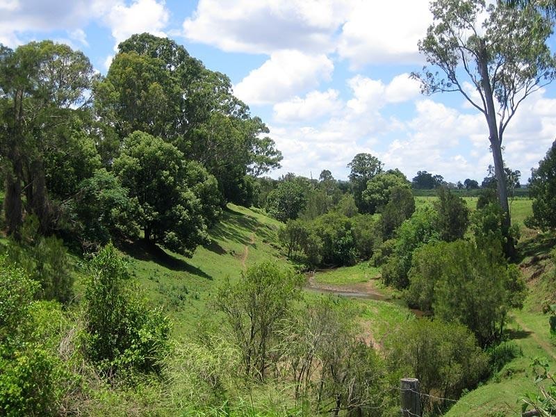135 SUNDOWN COURT, Tamborine QLD 4270