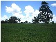 135 SUNDOWN COURT, Tamborine QLD 4270
