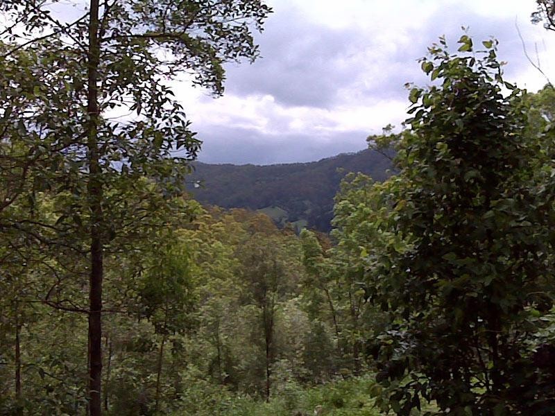 83 KIDSTON STREET, Canungra QLD 4275