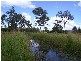 32 CARLIE COURT, Tamborine QLD 4270