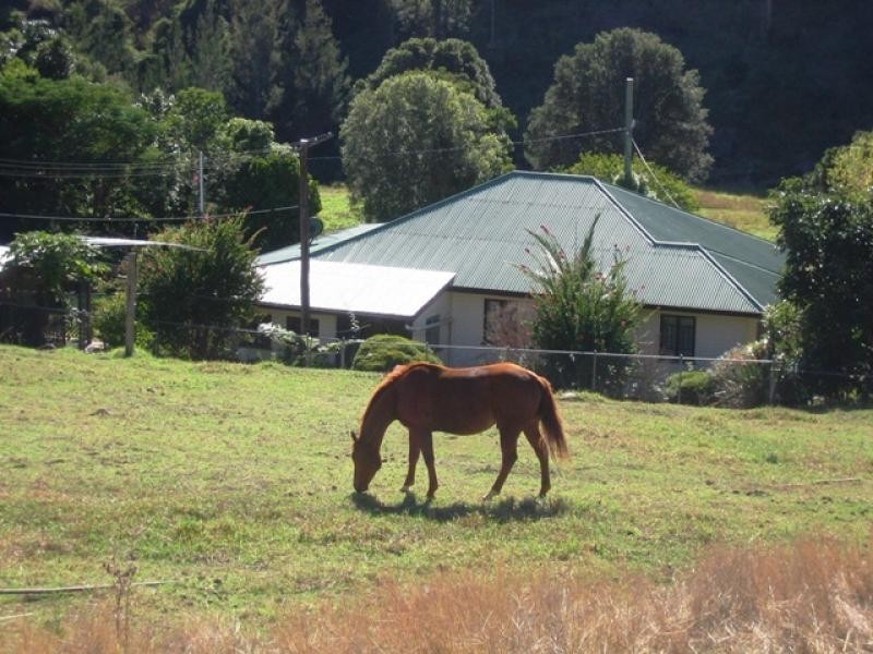 530 ILLINBAH ROAD, Illinbah QLD 4275