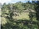 68 DOUBLE CROSSING ROAD, Canungra QLD 4275