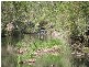 68 DOUBLE CROSSING ROAD, Canungra QLD 4275