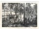 61 Yowani Rd, Rosedale NSW 2536