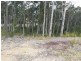 17 Bellbird Drive, Malua Bay NSW 2536
