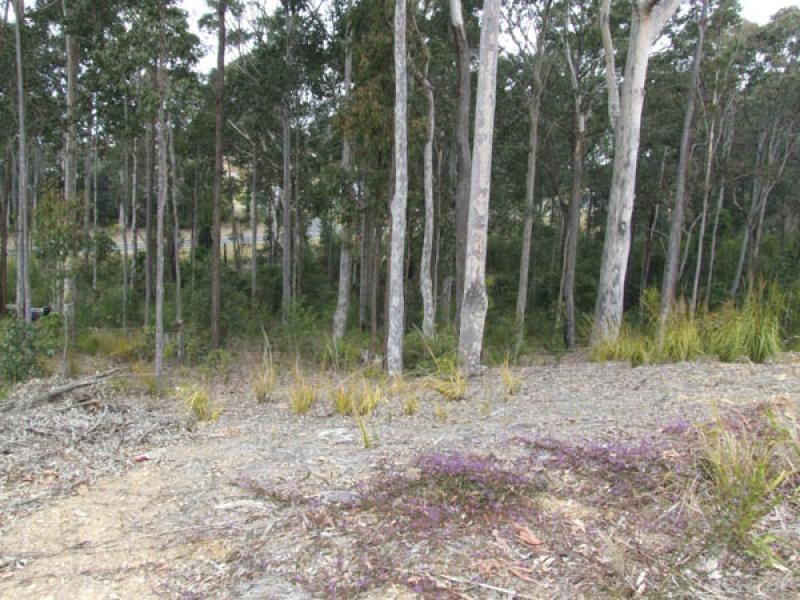 17 Bellbird Drive, Malua Bay NSW 2536
