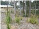 17 Bellbird Drive, Malua Bay NSW 2536
