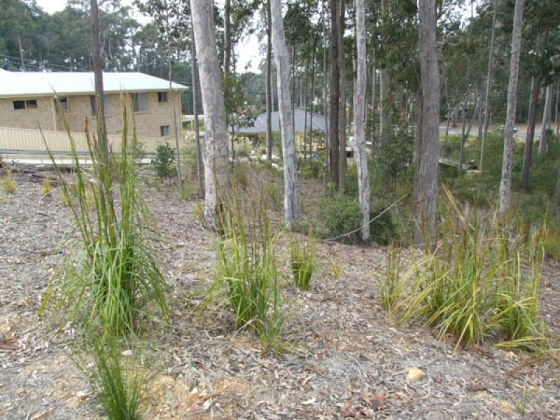 17 Bellbird Drive, Malua Bay NSW 2536