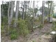 17 Bellbird Drive, Malua Bay NSW 2536