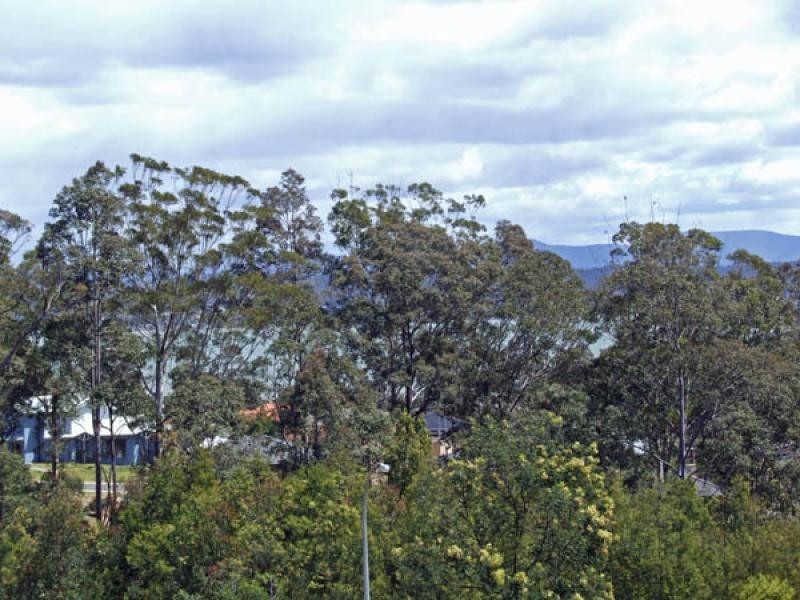 80 Blairs Road, Long Beach NSW 2536