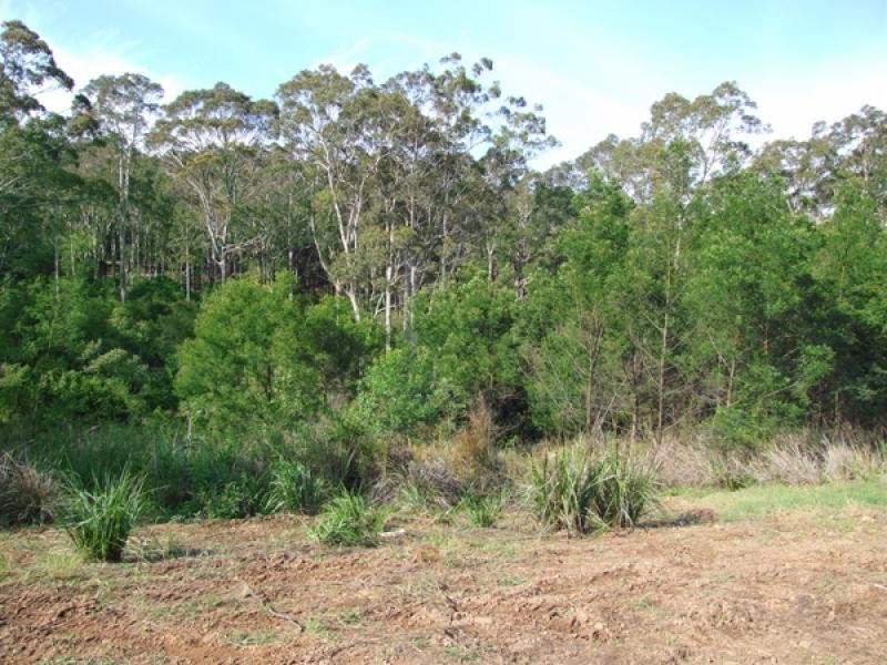 105 Courtenay Crescent, Long Beach NSW 2536