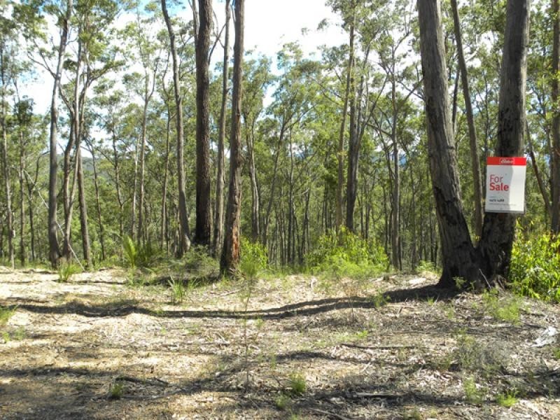 Lot 19/ Old Neligen Rd, Nelligen NSW 2536 the real estate agency