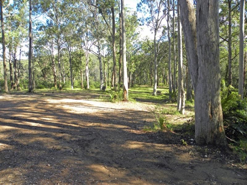 6 Windy Woppa Rd, Nelligen NSW 2536