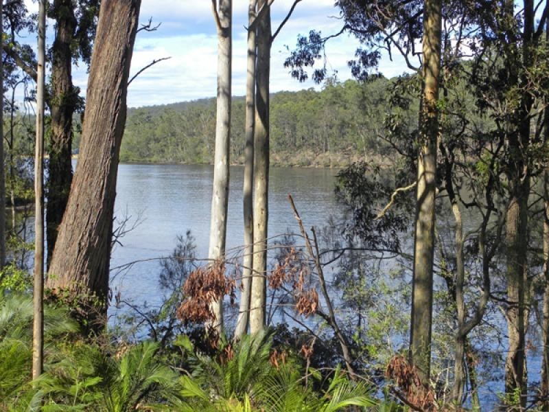 6 Windy Woppa Rd, Nelligen NSW 2536