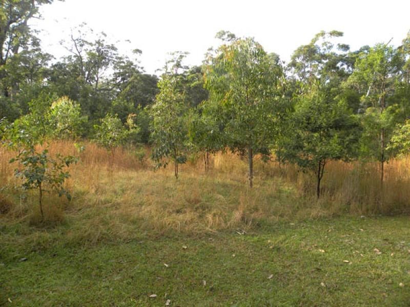 78 The Inlet, Mossy Point NSW 2537