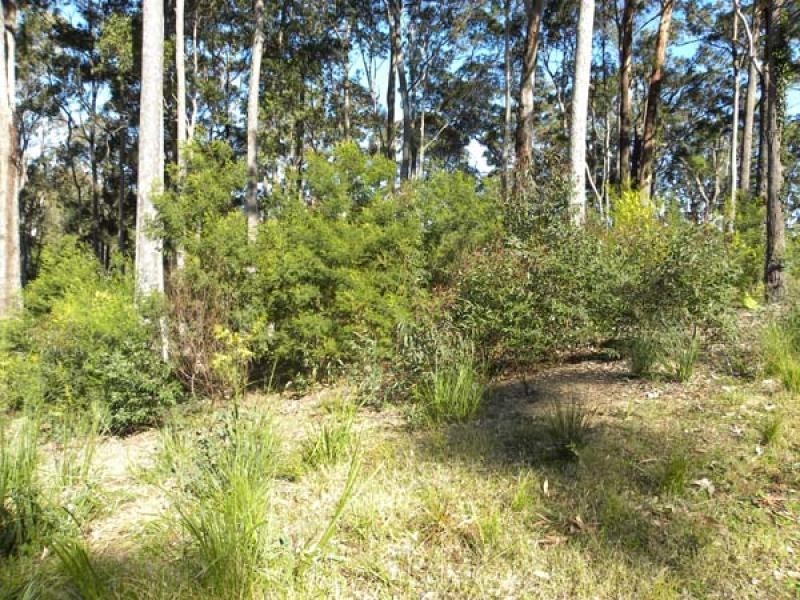 81 Litchfield Crescent81 Litchfield Crescent, Long Beach NSW 2536