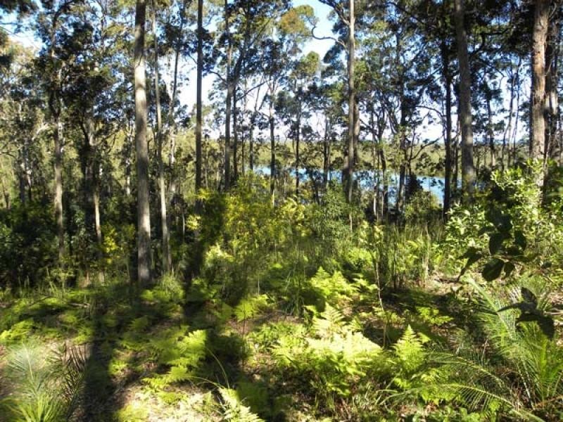 81 Litchfield Crescent81 Litchfield Crescent, Long Beach NSW 2536