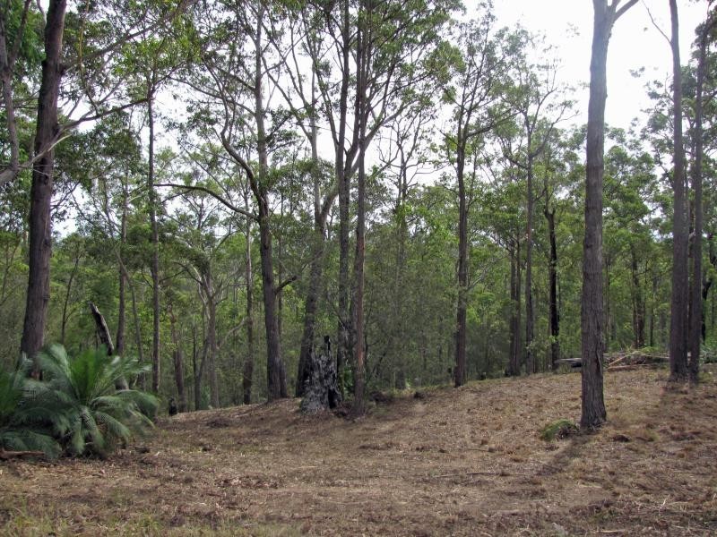 8 Burri Palm Way, Surfside NSW 2536