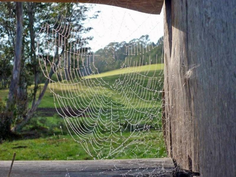 Lot 23/ Brooman Road, Brooman NSW 2538