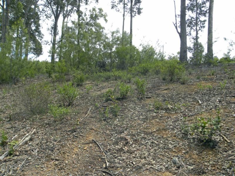 24 Bunderra Cct, Malua Bay NSW 2536