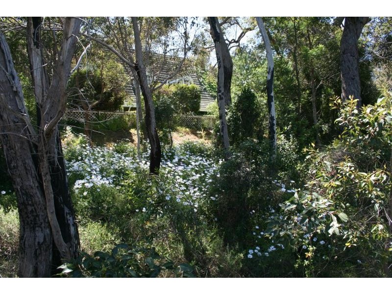 35 Ozone Terrace, Kalamunda WA 6076