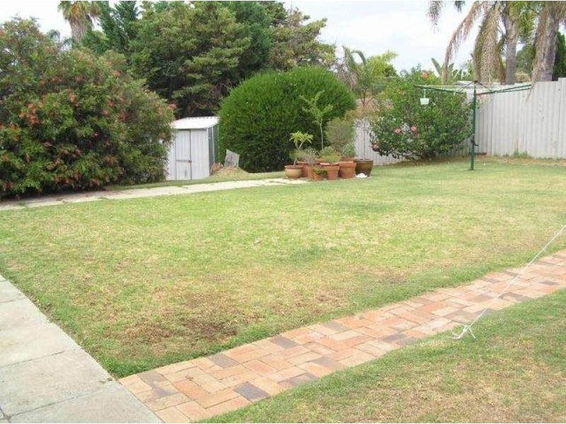 3 Albatross Court, Yangebup WA 6164