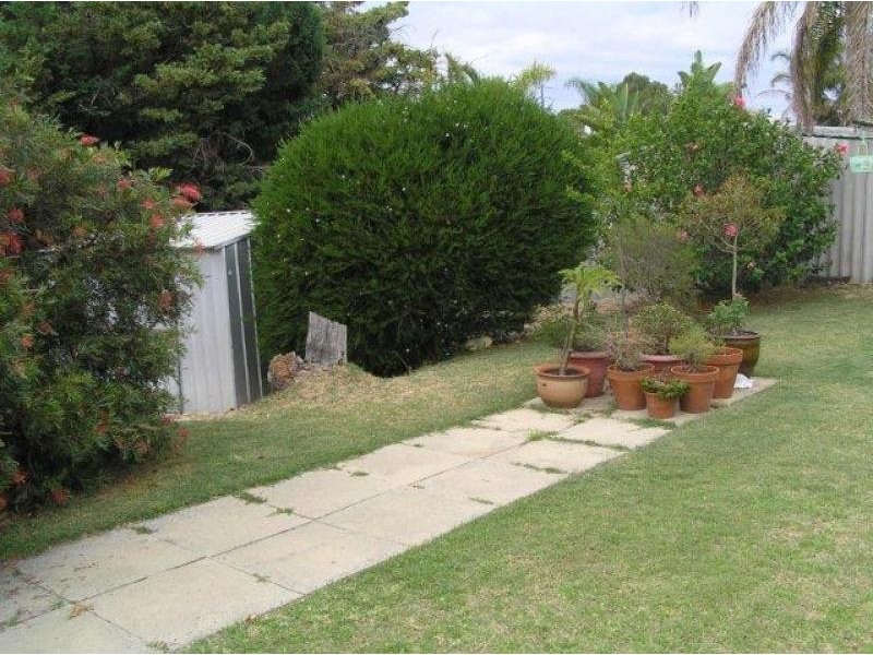 3 Albatross Court, Yangebup WA 6164